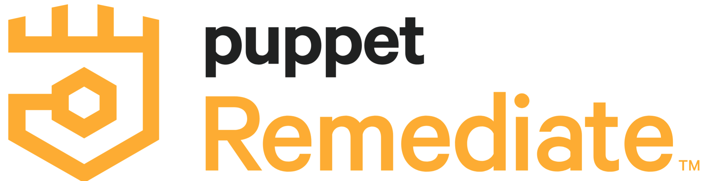 Puppet Remediate 1.4 jetzt verfügbar - bitbone AG