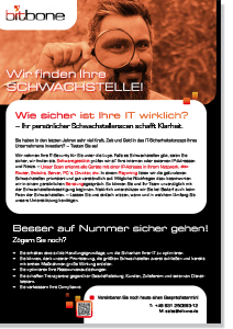 Flyer Schwachstellenscan als pdf zum Download